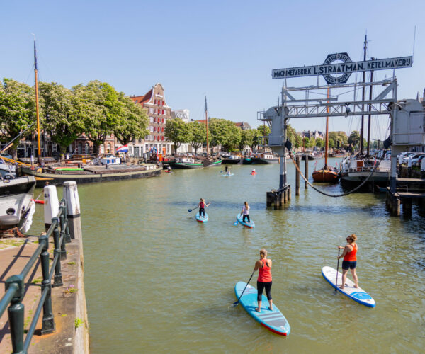 sup les in dordrecht